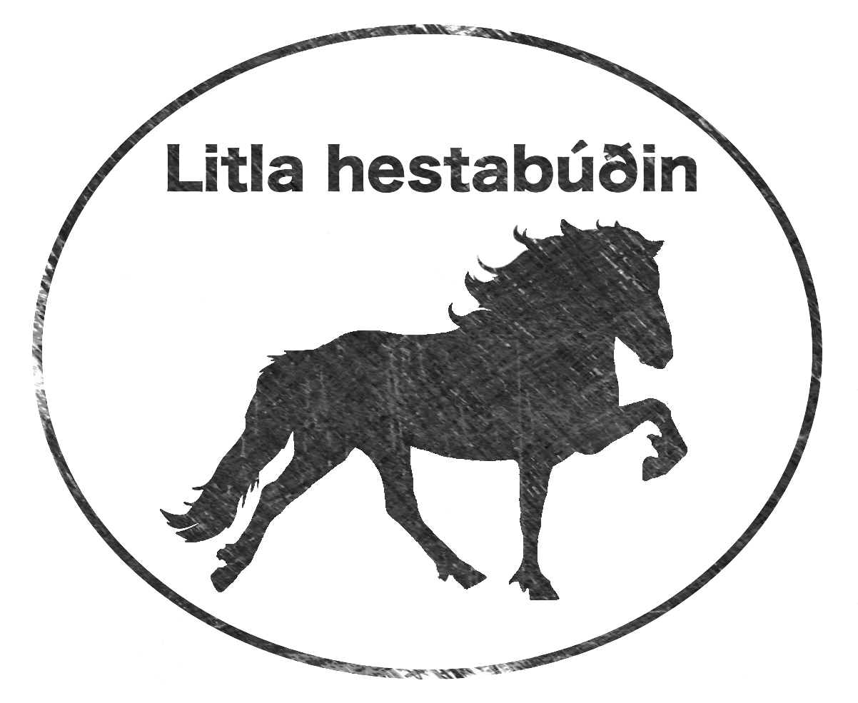 Litla Hestabúðin @Sólvangur Icelandic Horse Center 