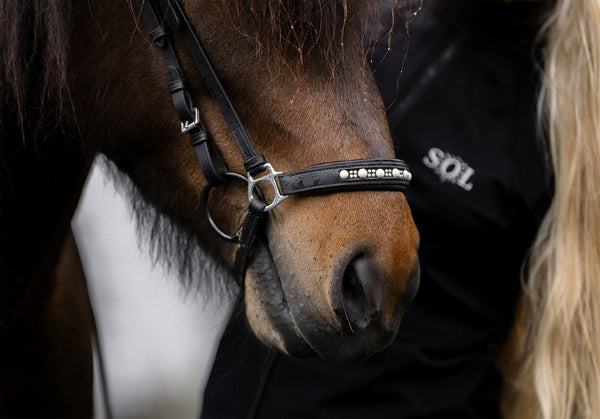 Bling sett -perlur og steinar