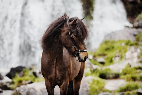 Bling sett -perlur og steinar