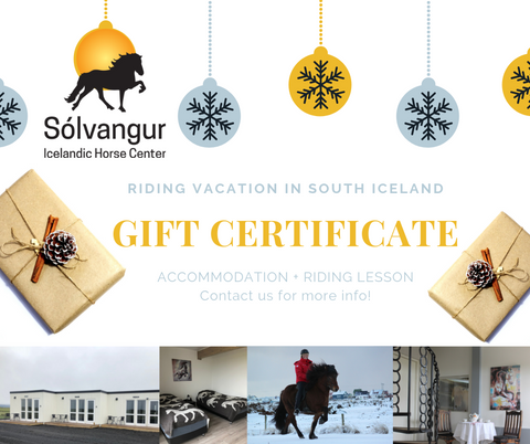 Gjafabréf/Gift Certificate @Sólvangur Icelandic Horse Center
